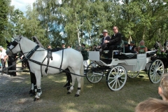 _2014_schuetzenfest_sonntag_serie_2_159_20141002_1534624723