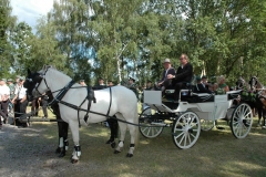 _2014_schuetzenfest_sonntag_serie_2_160_20141002_1365270206