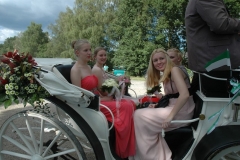 _2014_schuetzenfest_sonntag_serie_2_164_20141002_1661493085