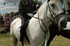 _2014_schuetzenfest_sonntag_serie_2_68_20141002_1782711821